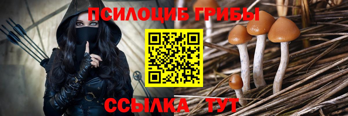 Галлюциногенные грибы прущие грибы Йошкар-Ола